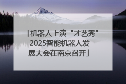 机器人上演“才艺秀” 2025智能机器人发展大会在南京召开