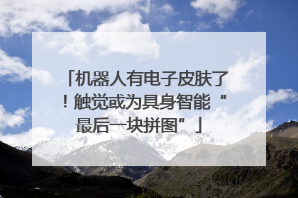 机器人有电子皮肤了！触觉或为具身智能“最后一块拼图”