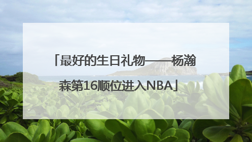 最好的生日礼物——杨瀚森第16顺位进入NBA