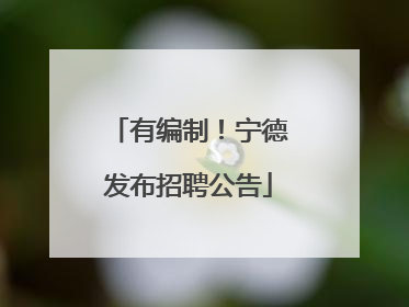 有编制！宁德发布招聘公告
