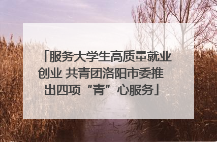 服务大学生高质量就业创业 共青团洛阳市委推出四项“青”心服务