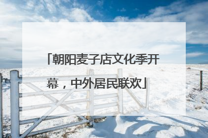 朝阳麦子店文化季开幕，中外居民联欢
