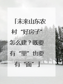 未来山东农村“好房子”怎么建？既要有“里”也要有“面”