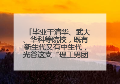 毕业于清华、武大、华科等院校，既有新生代又有中生代，光谷这支“理工男团”为何“出道”？