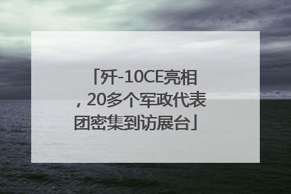 歼-10CE亮相，20多个军政代表团密集到访展台