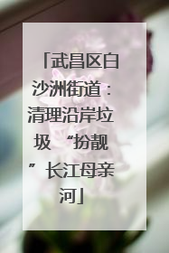 武昌区白沙洲街道：清理沿岸垃圾 “扮靓”长江母亲河