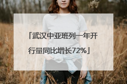 武汉中亚班列一年开行量同比增长72%