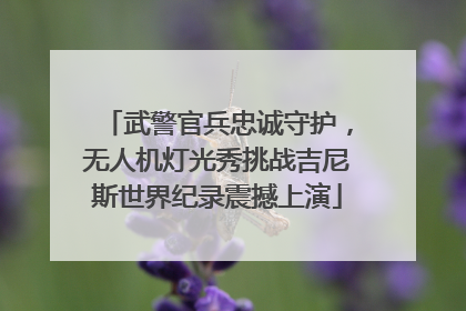 武警官兵忠诚守护，无人机灯光秀挑战吉尼斯世界纪录震撼上演