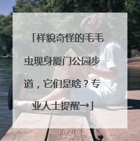 样貌奇怪的毛毛虫现身厦门公园步道，它们是啥？专业人士提醒→