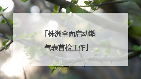 株洲全面启动燃气表首检工作