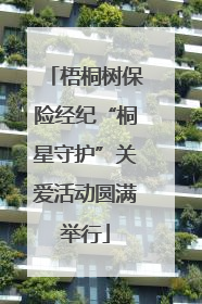 梧桐树保险经纪“桐星守护”关爱活动圆满举行
