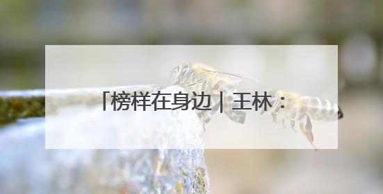 榜样在身边｜王林：扎根一线破难题，25天拿下聊城西站钢连廊“硬核”工程