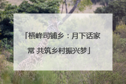 横峰司铺乡：月下话家常 共筑乡村振兴梦