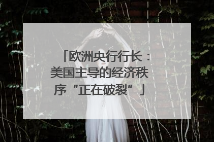 欧洲央行行长：美国主导的经济秩序“正在破裂”