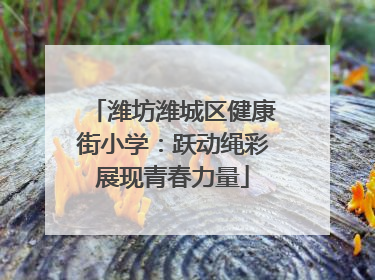 潍坊潍城区健康街小学：跃动绳彩展现青春力量