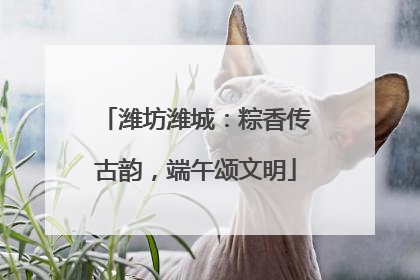潍坊潍城：粽香传古韵，端午颂文明