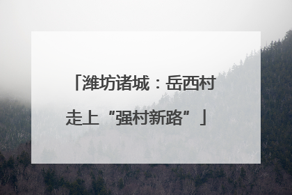 潍坊诸城：岳西村走上“强村新路”
