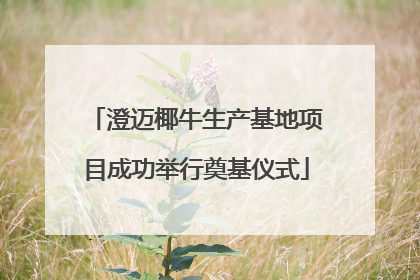 澄迈椰牛生产基地项目成功举行奠基仪式