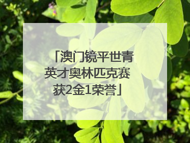 澳门镜平世青英才奥林匹克赛获2金1荣誉