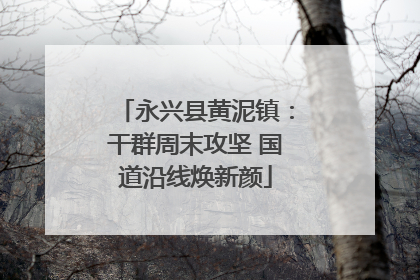 永兴县黄泥镇：干群周末攻坚 国道沿线焕新颜