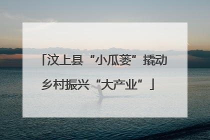 汶上县“小瓜蒌”撬动乡村振兴“大产业”