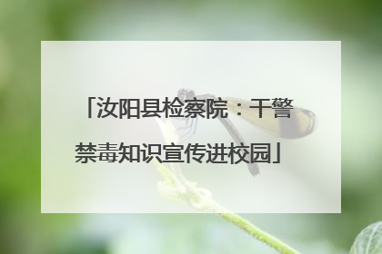 汝阳县检察院：干警禁毒知识宣传进校园
