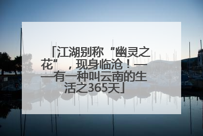 江湖别称“幽灵之花”，现身临沧！——有一种叫云南的生活之365天