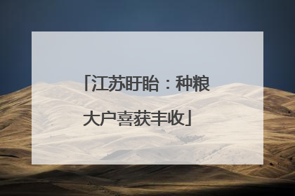 江苏盱眙：种粮大户喜获丰收