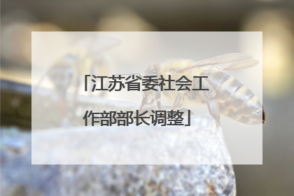 江苏省委社会工作部部长调整