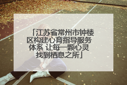 江苏省常州市钟楼区构建心育指导服务体系 让每一颗心灵找到栖息之所