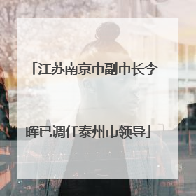 江苏南京市副市长李晖已调任泰州市领导