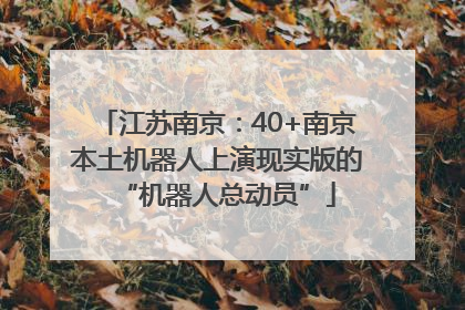 江苏南京：40+南京本土机器人上演现实版的“机器人总动员”
