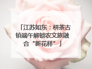 江苏如东：栟茶古镇端午解锁农文旅融合“新花样”