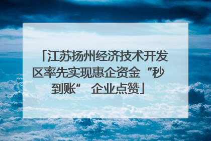 江苏扬州经济技术开发区率先实现惠企资金“秒到账” 企业点赞