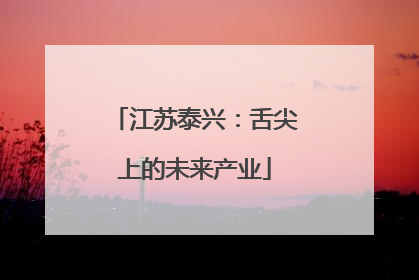 江苏泰兴：舌尖上的未来产业