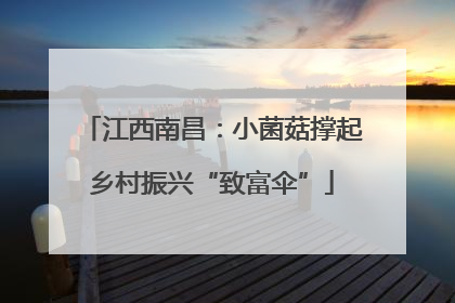 江西南昌：小菌菇撑起乡村振兴“致富伞”