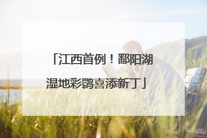 江西首例！鄱阳湖湿地彩鹮喜添新丁