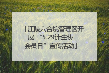 江陵六合垸管理区开展 “5.29计生协会员日”宣传活动