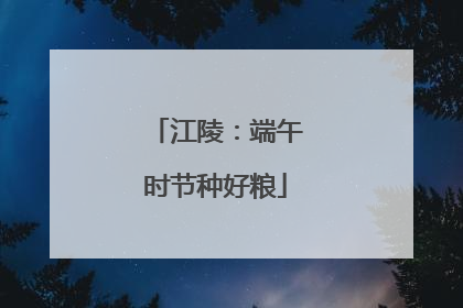 江陵：端午时节种好粮