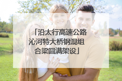 沿太行高速公路沁河特大桥钢混组合梁圆满架设