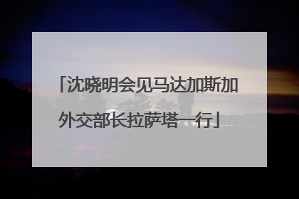 沈晓明会见马达加斯加外交部长拉萨塔一行