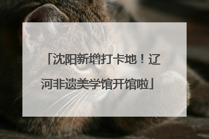 沈阳新增打卡地！辽河非遗美学馆开馆啦