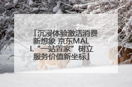 沉浸体验激活消费新想象 京东MALL“一站置家”树立服务价值新坐标