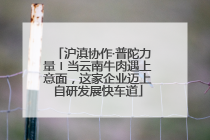 沪滇协作·普陀力量〡当云南牛肉遇上意面，这家企业迈上自研发展快车道