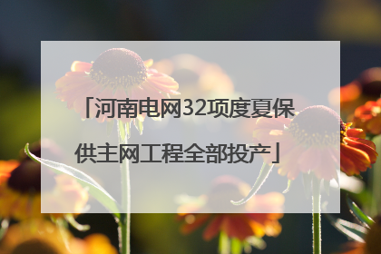 河南电网32项度夏保供主网工程全部投产
