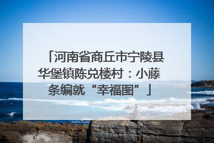河南省商丘市宁陵县华堡镇陈兑楼村：小藤条编就“幸福图”
