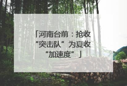 河南台前：抢收“突击队”为夏收“加速度”