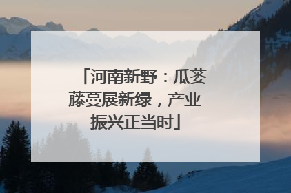 河南新野：瓜蒌藤蔓展新绿，产业振兴正当时