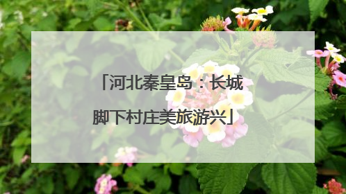 河北秦皇岛：长城脚下村庄美旅游兴