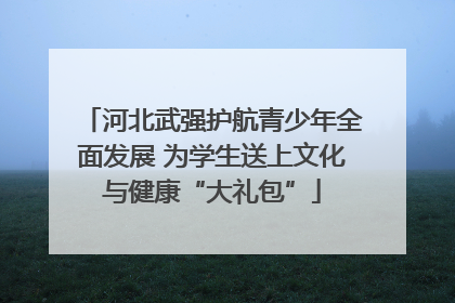 河北武强护航青少年全面发展 为学生送上文化与健康“大礼包”